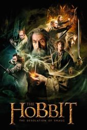 Nonton Film The Hobbit: The Desolation of Smaug (2013)