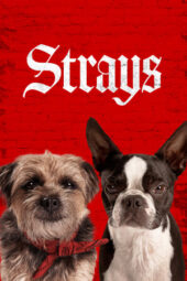 Nonton Film Strays (2023)