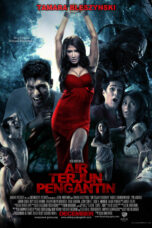 Nonton Film Air Terjun Pengantin (2009)