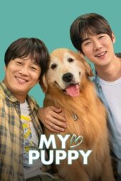 Nonton Film My♡Puppy (2023)